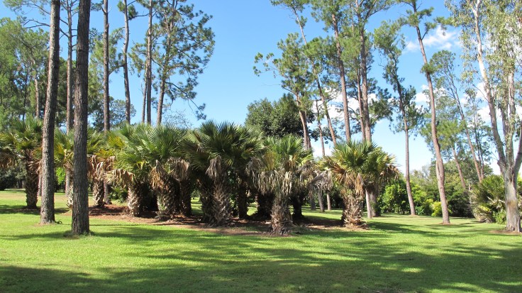 Botanic Gardens, Rockhampton