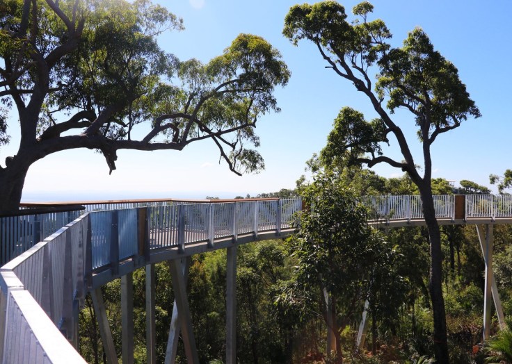 Mount Archer, Rockhampton