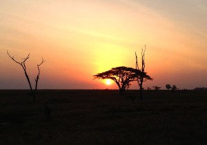 Sunset in Tanzania
