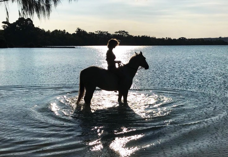 51ad65da-bc87-40fa-a476-be43c74c494f