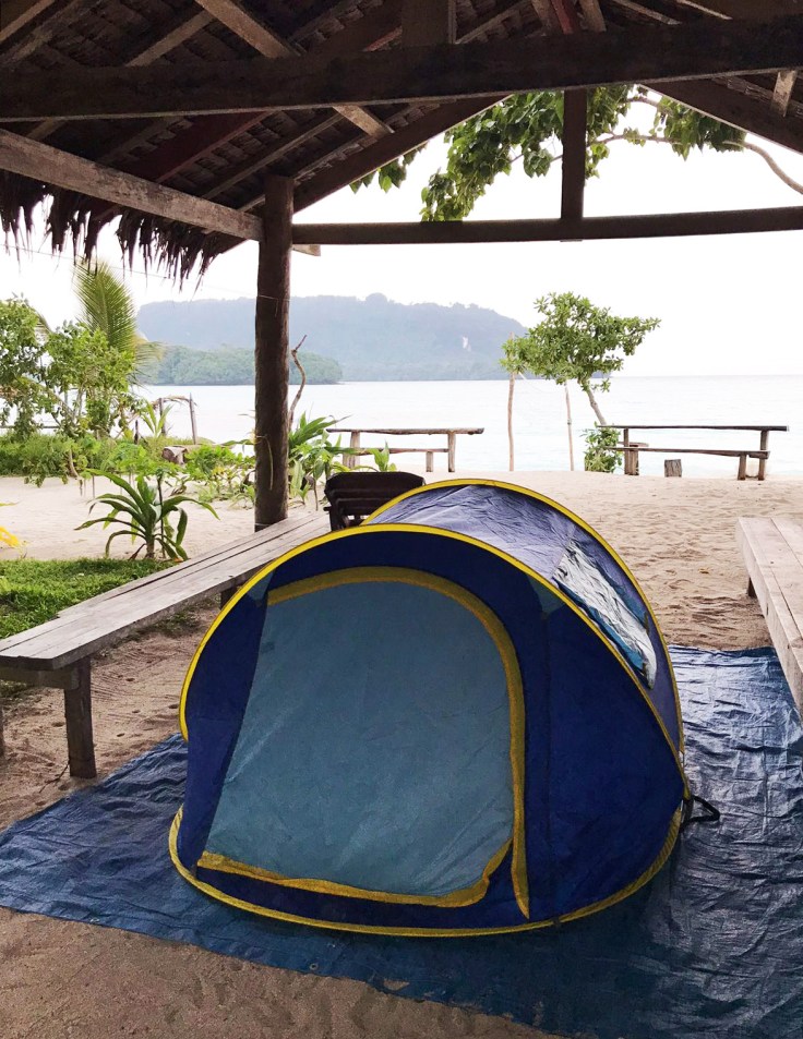 e950fd4b-e303-4a50-9e78-3f9ad89332b5